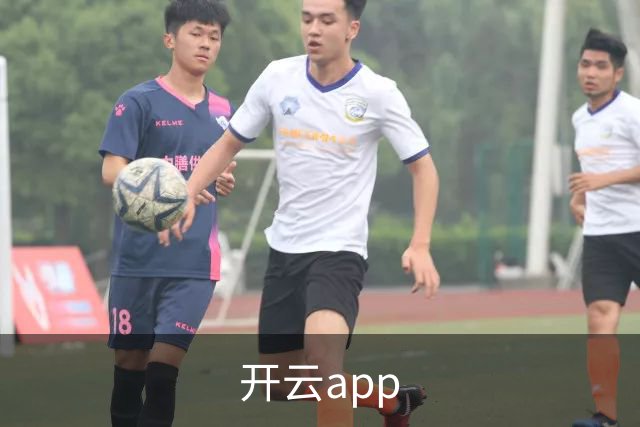 开云app公司介绍